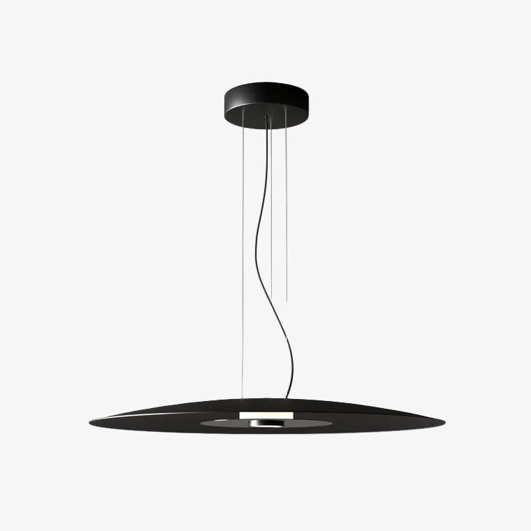 Lampa wisząca BigCoss — Aromas Del Campo, czarna owalna kopuła, widok z przodu