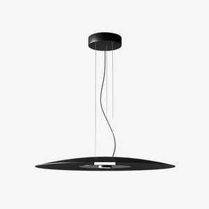 Lampa wisząca BigCoss — Aromas Del Campo, czarna owalna kopuła, widok z przodu